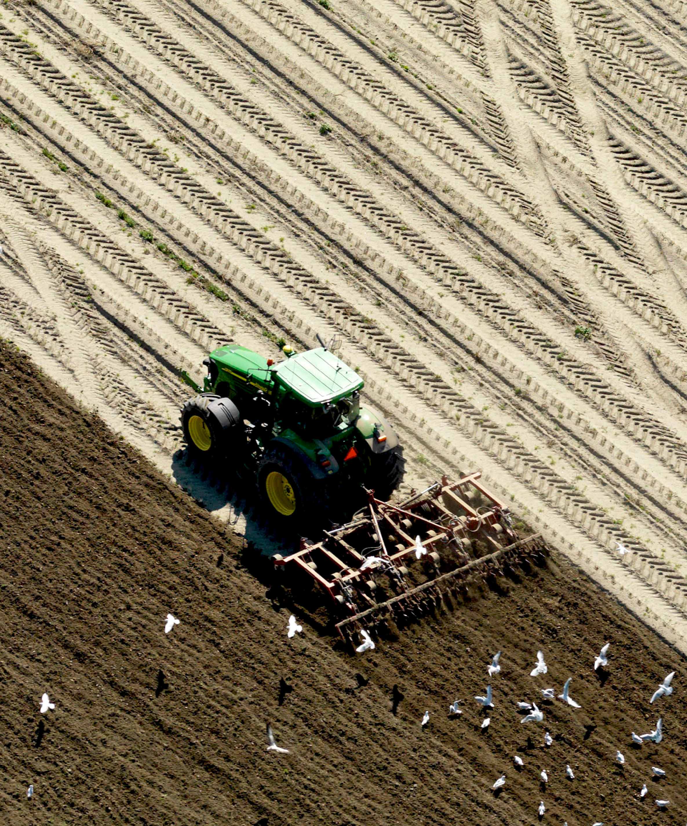 Agriculture_Header