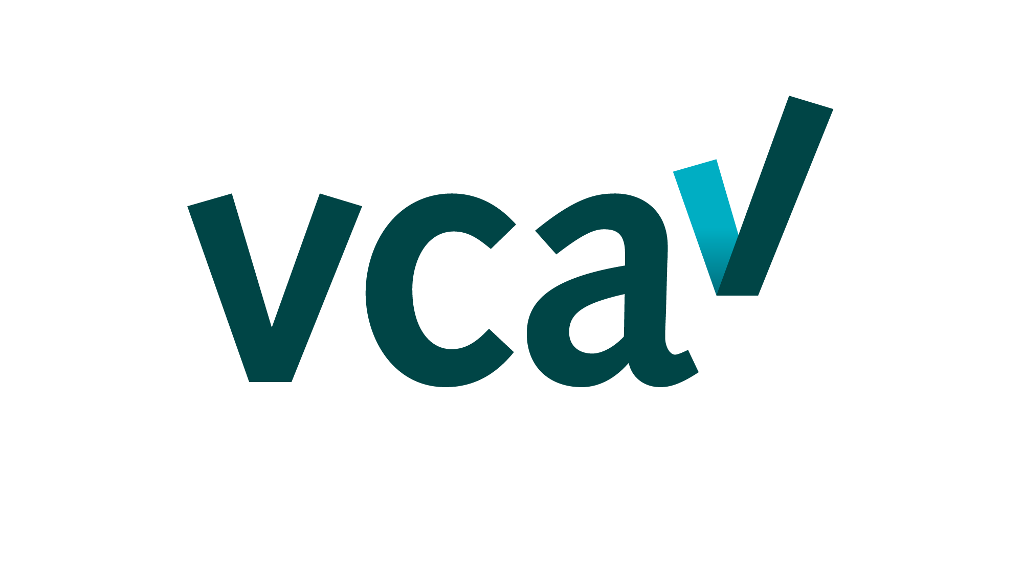 VCA_logo_2000x1138px_RGB_2.0-1